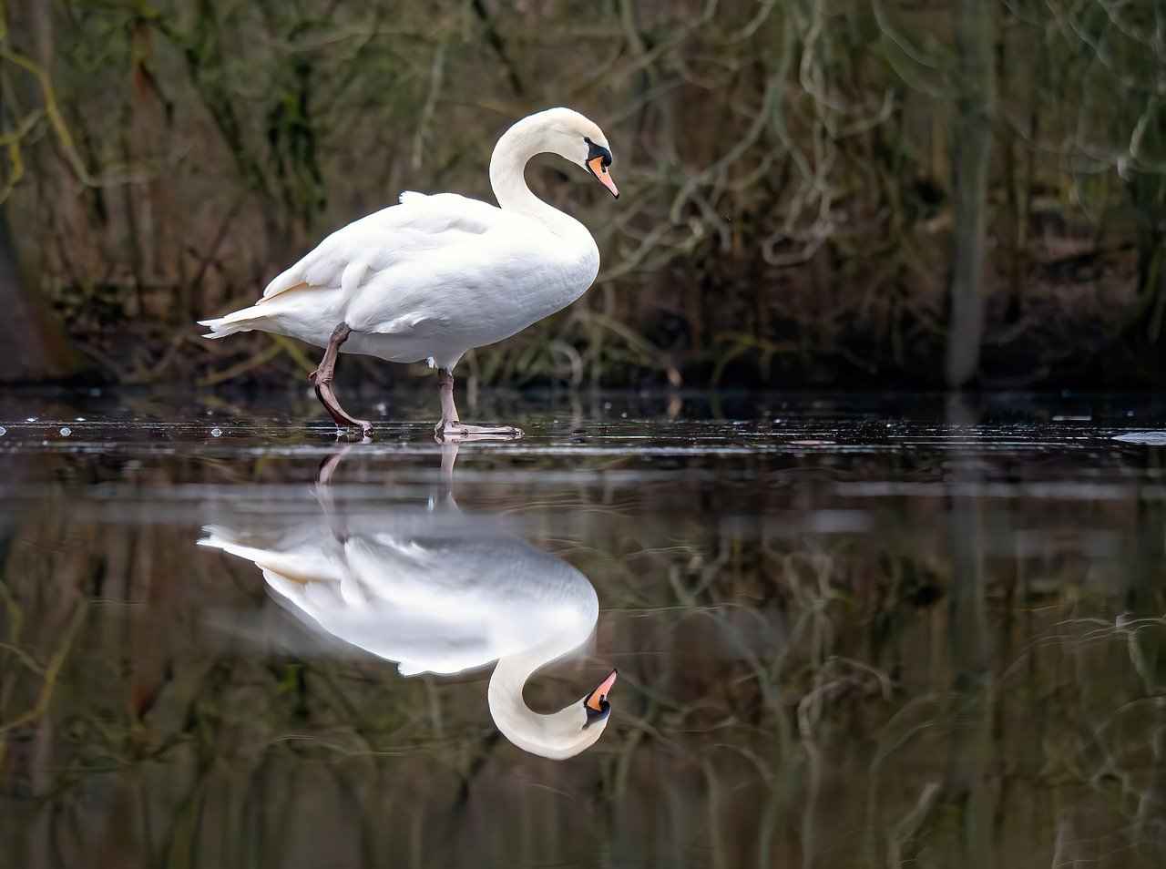 48-Hour Water Fast: What to Expect and How to Prepare 3 Risks and Considerations of Water Fasting