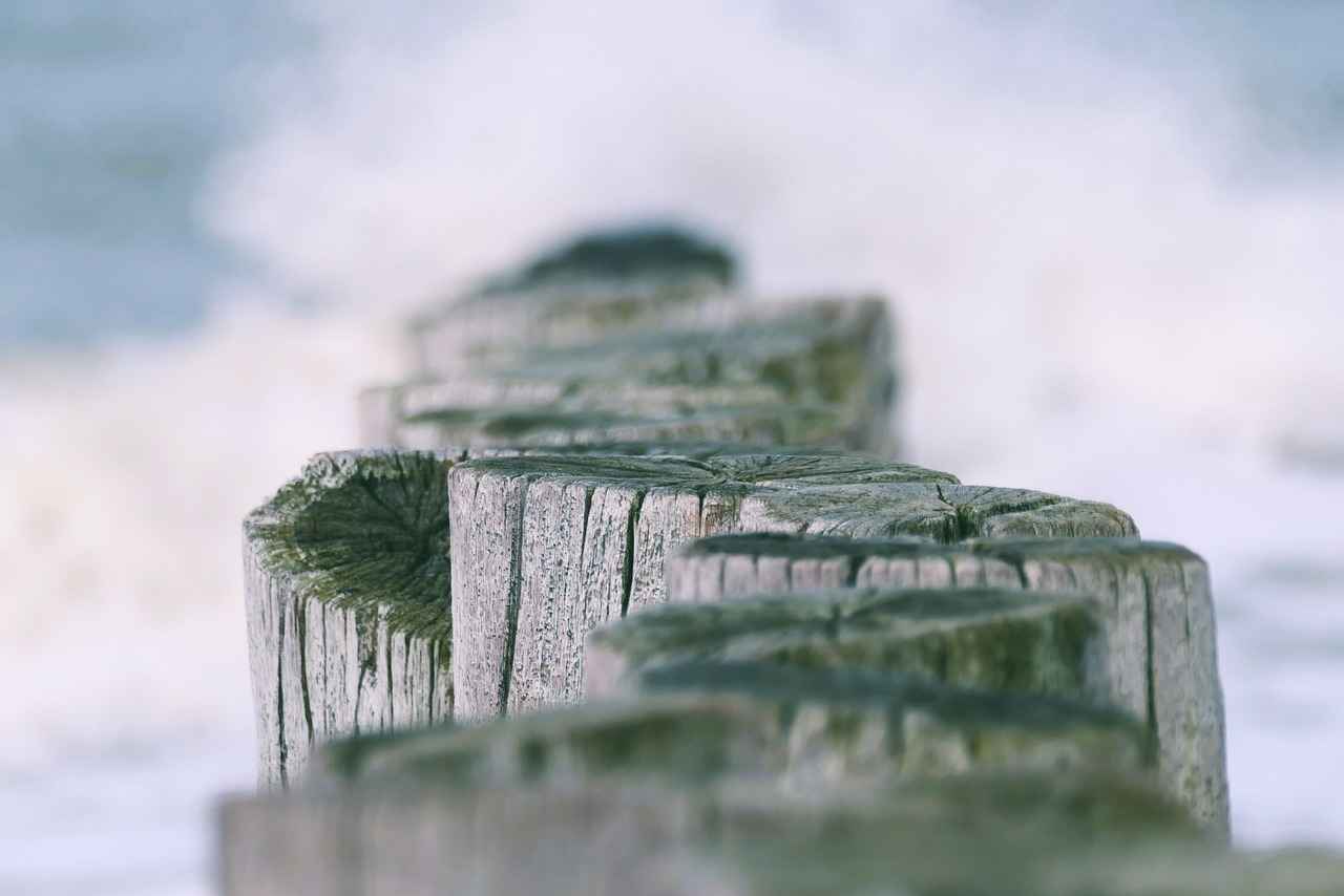 What is a 7-Day Water Fast?