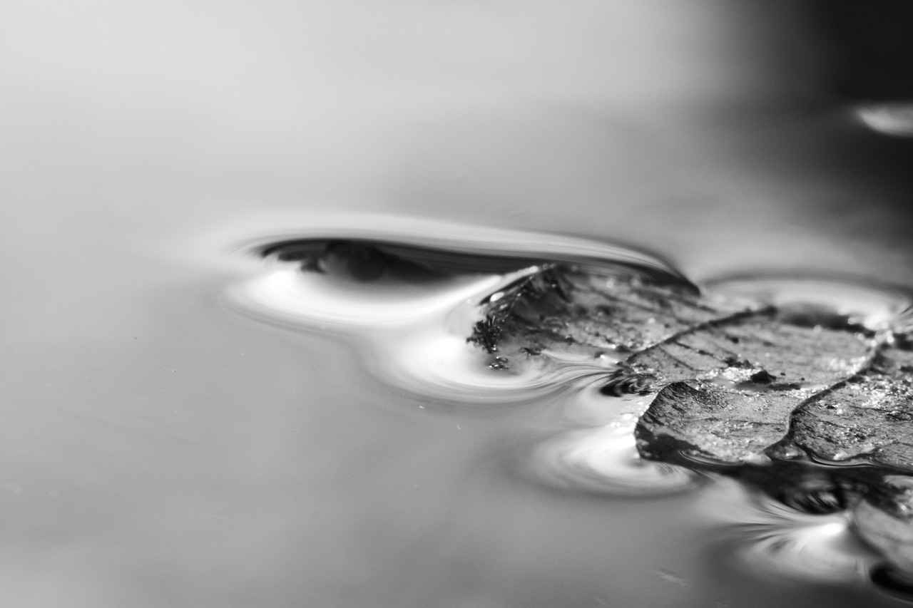 What is a 7-Day Water Fast?