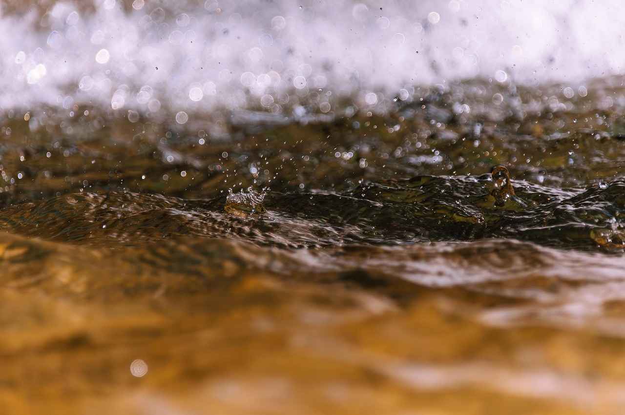 Potential Risks and Side Effects