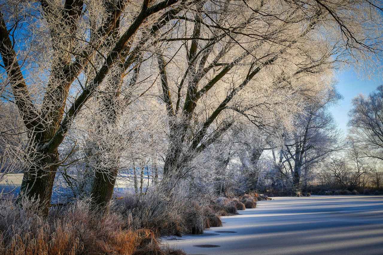 Boiled Water Freezes Faster: Myth or Reality? 2 The Science Behind Freezing Water