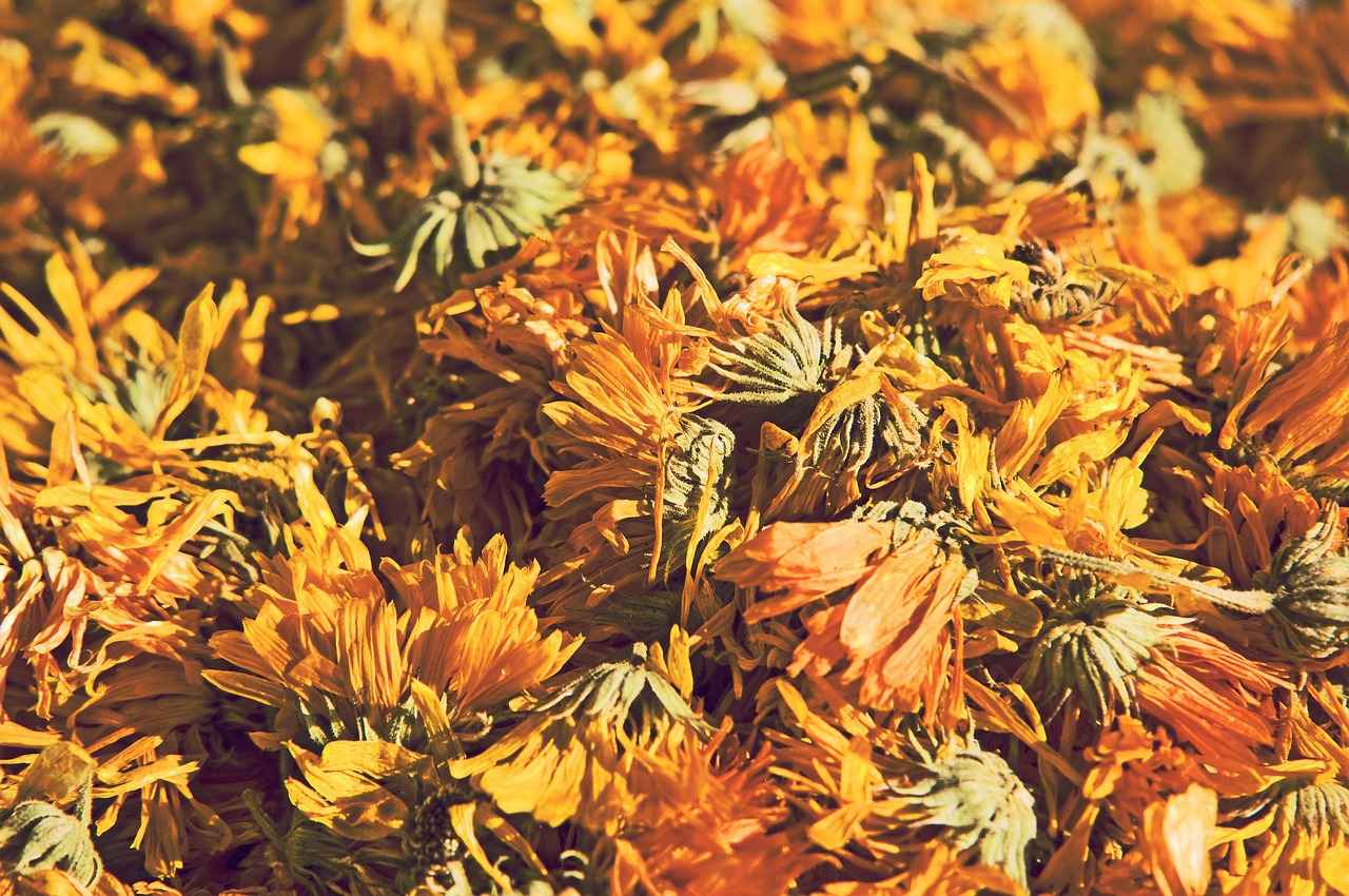 Benefits of Herbal Tea
