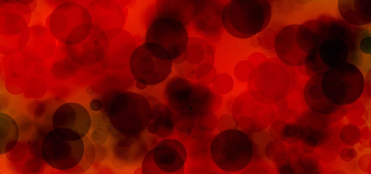 Understanding Fasting Blood Draws