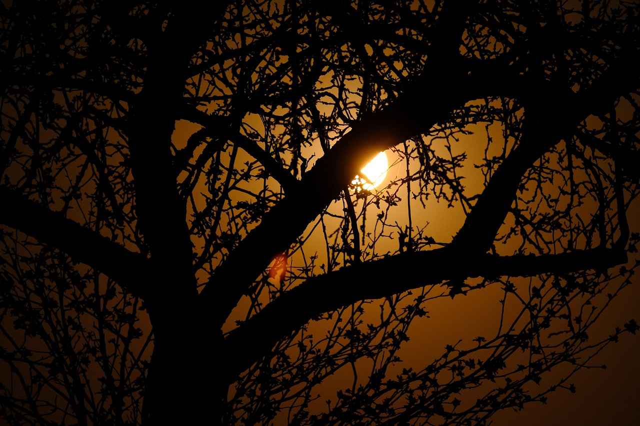 Can You Drink Water Before Blood Work? What You Should Know 2 Why Is Fasting Important for Blood Tests?