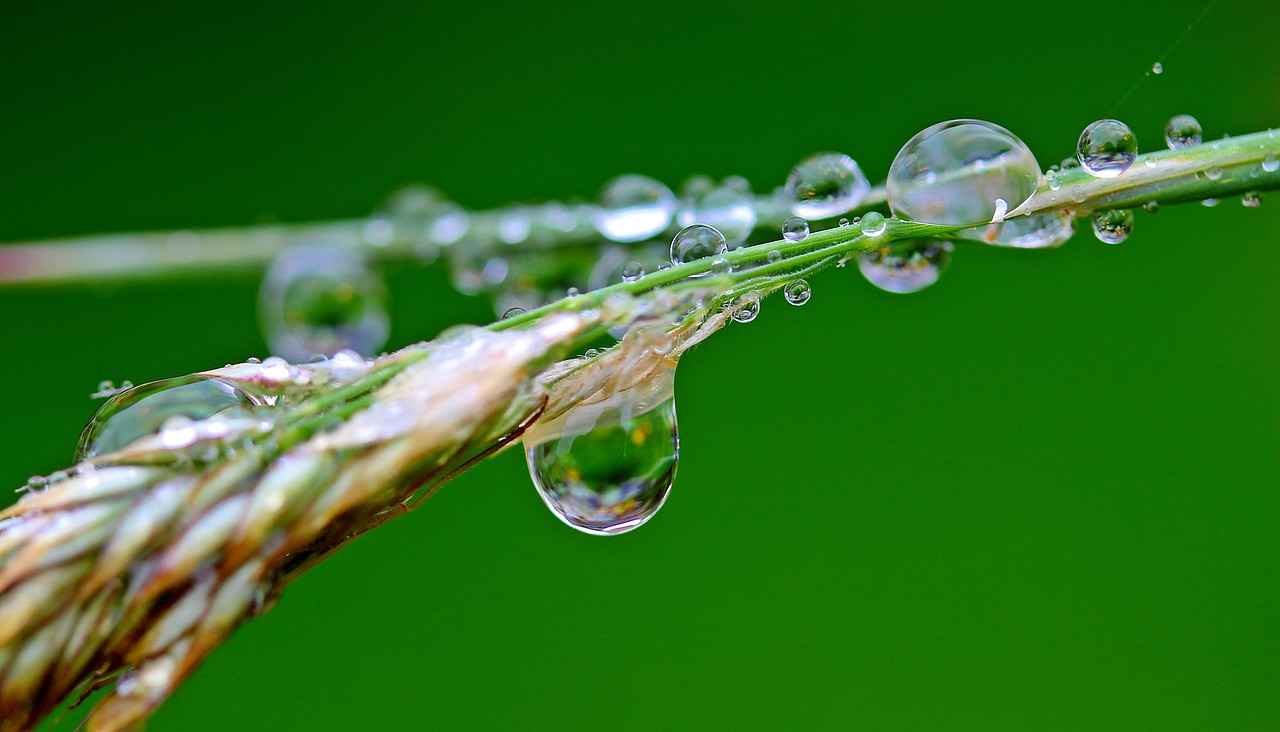 Can You Drink Water While Fasting?
