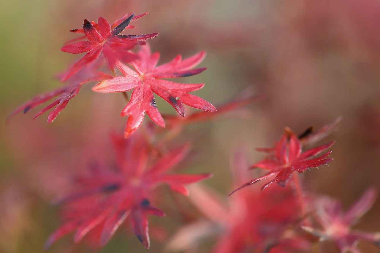 Can You Have Water Before a Fasting Blood Test? 1 Understanding Fasting Blood Tests