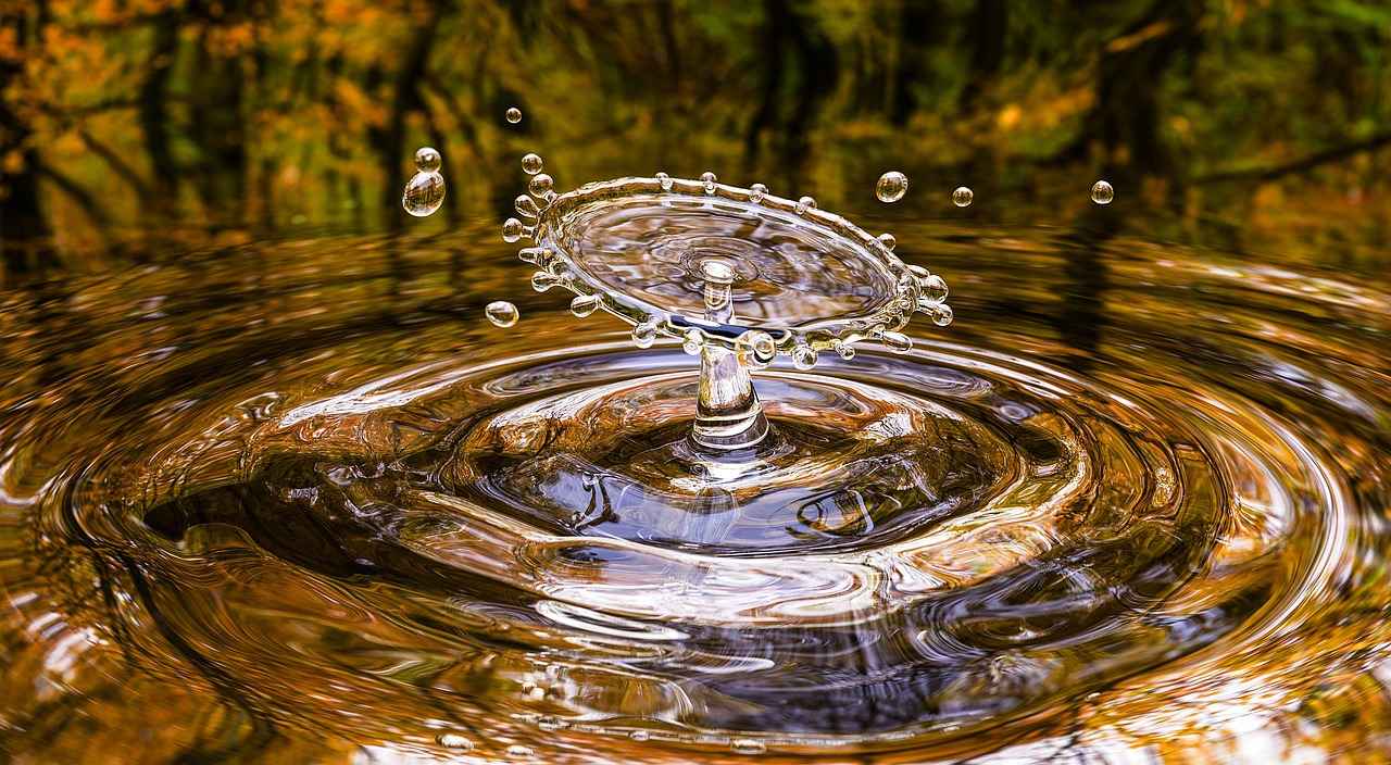 What is a Water Fast?