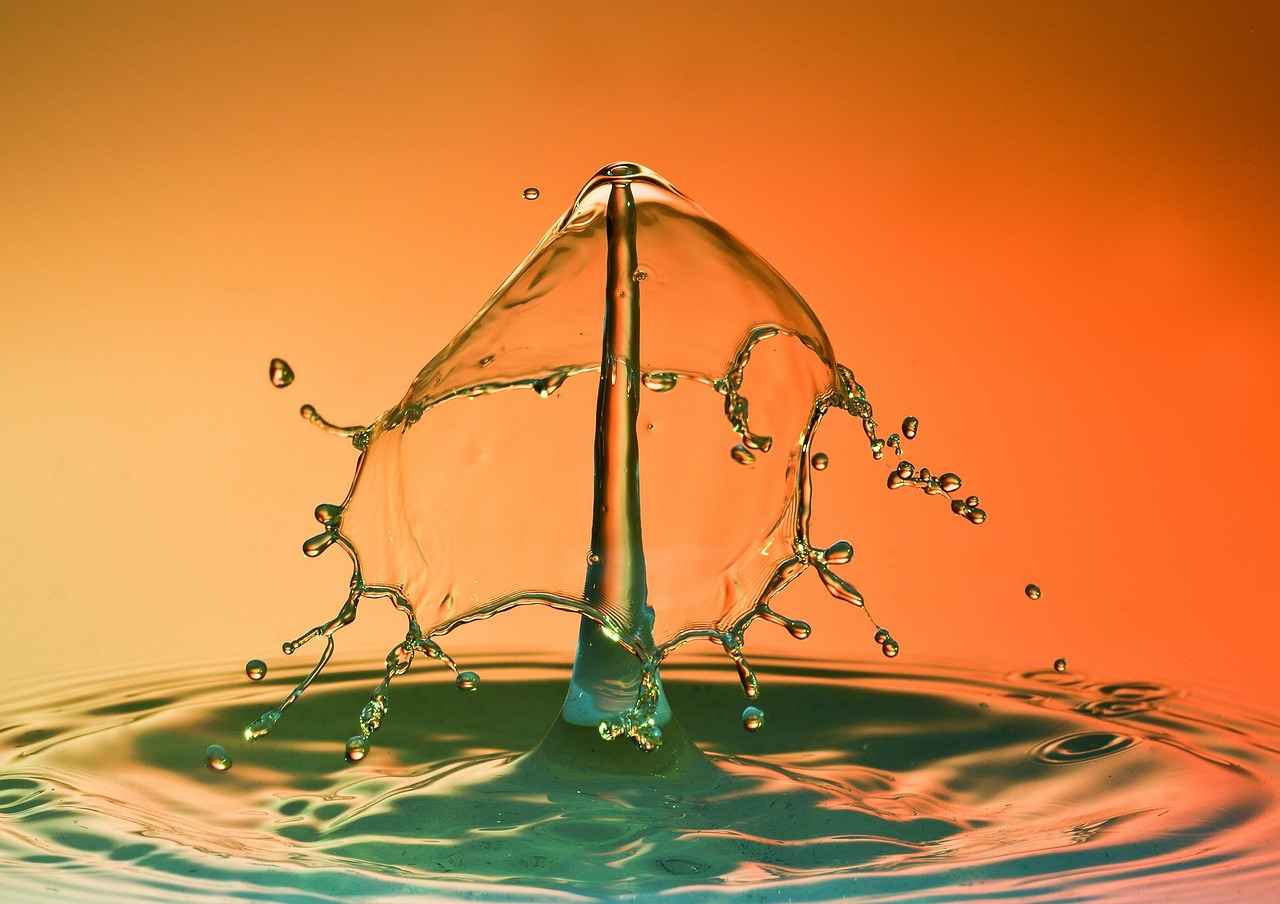 Expert Opinions on Water Fasting