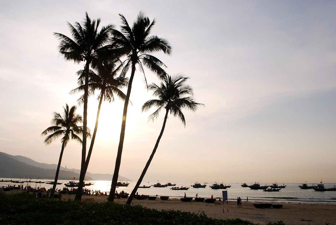 Potential Benefits of Coconut Water During Fasting