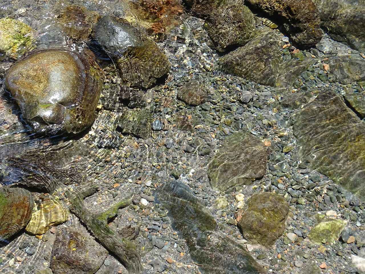 Other Lifestyle Factors Influencing Menstrual Duration