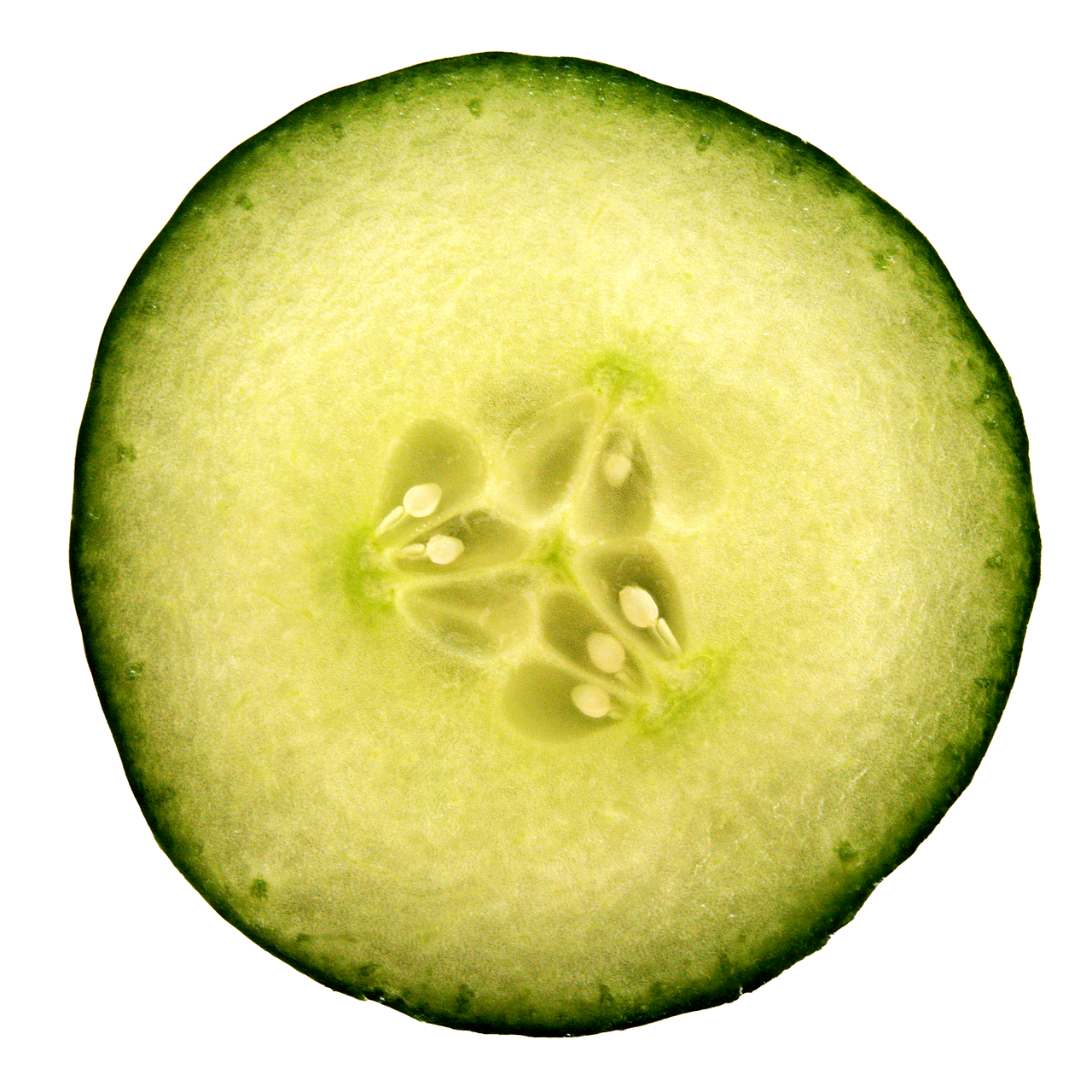 The Role of Hydration in Menstrual Health