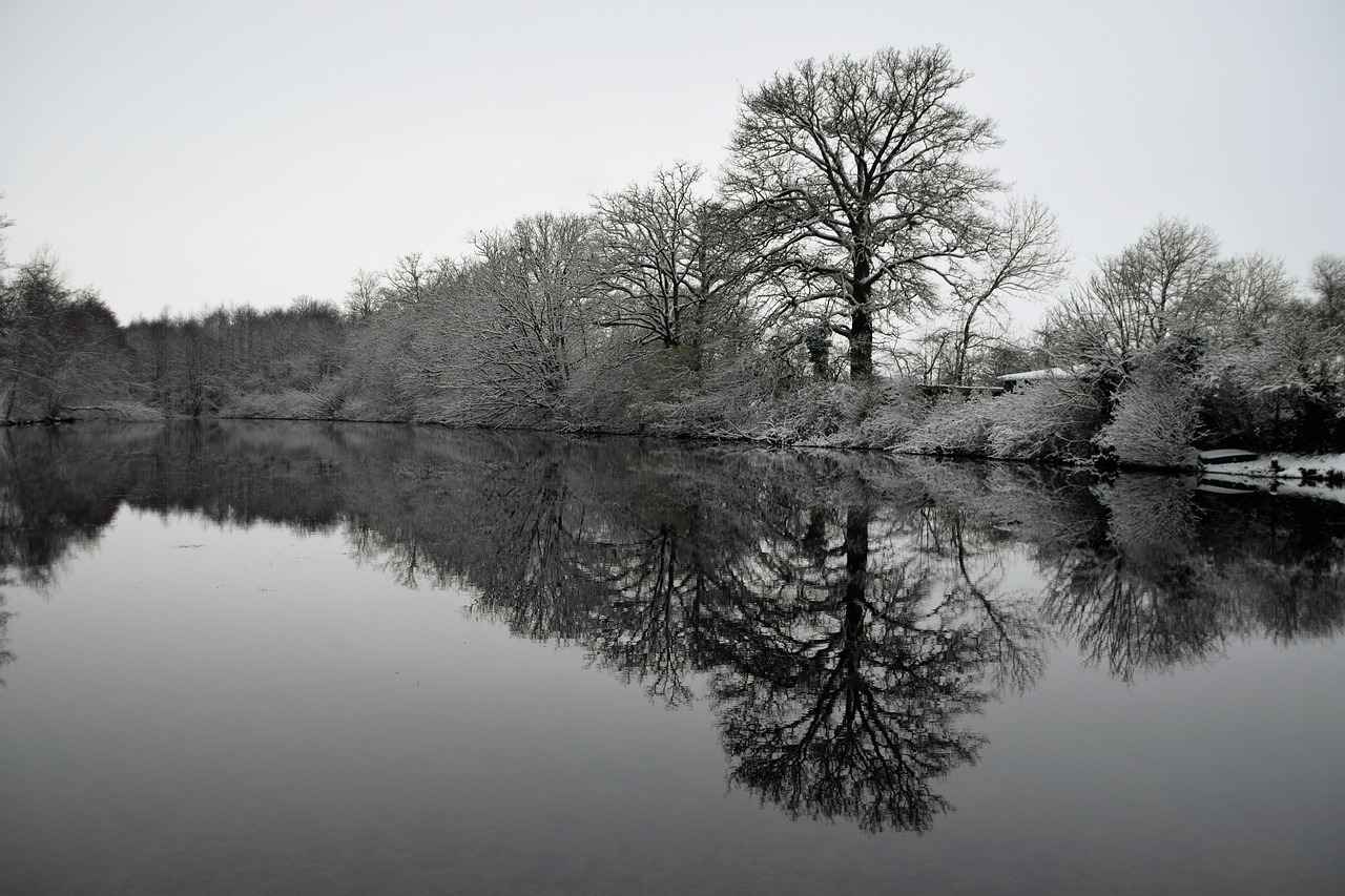 Does Hot Water Freeze Faster? Science Says Yes! 7 Conclusion: The Ongoing Mystery of the Mpemba Effect