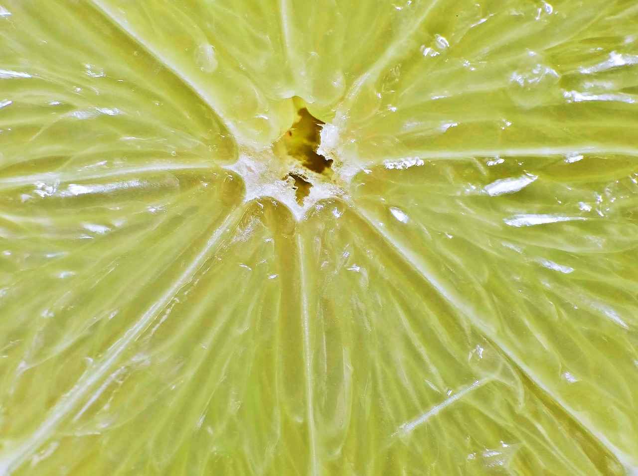 Does Lemon Water Break a Fast? Experts Explain 2 The Science Behind Fasting