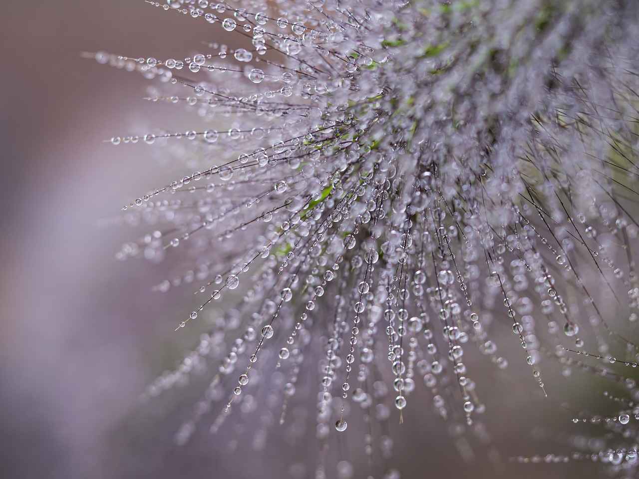 Does Salted Water Boil Faster Than Plain Water? 1 Understanding Boiling Point