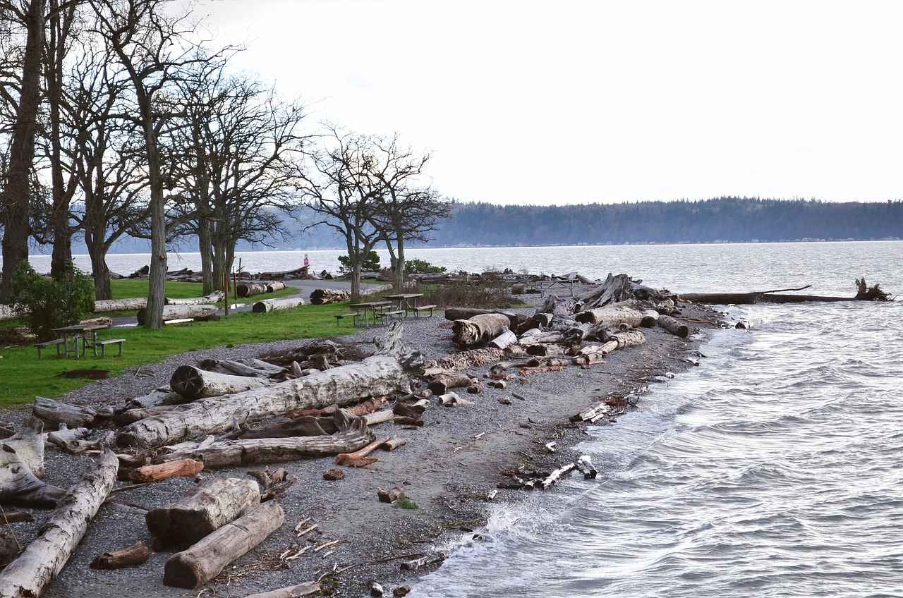 Does Sound Travel Faster in Water? The Science Behind It 2 How Sound Travels in Water