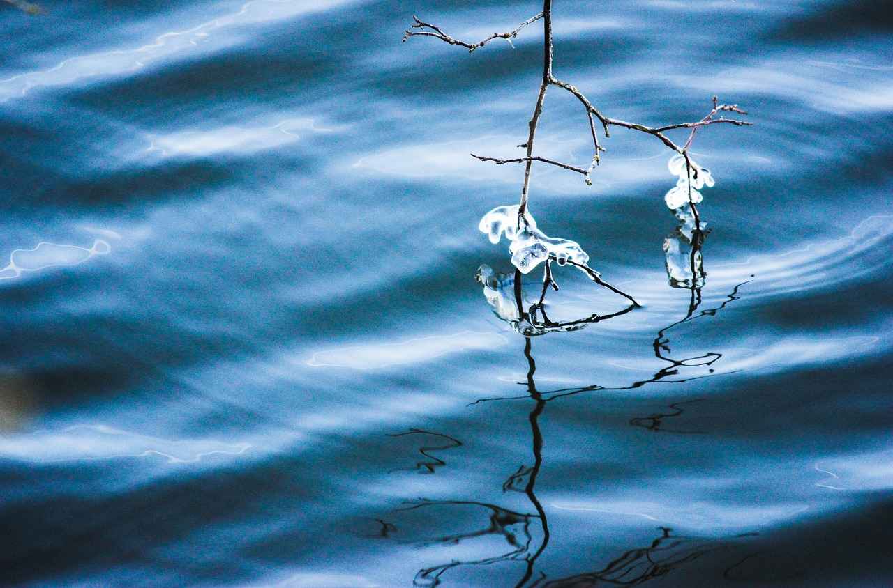 Does Warm Water Freeze Faster? The Answer Might Surprise You 4 Practical Implications of the Mpemba Effect