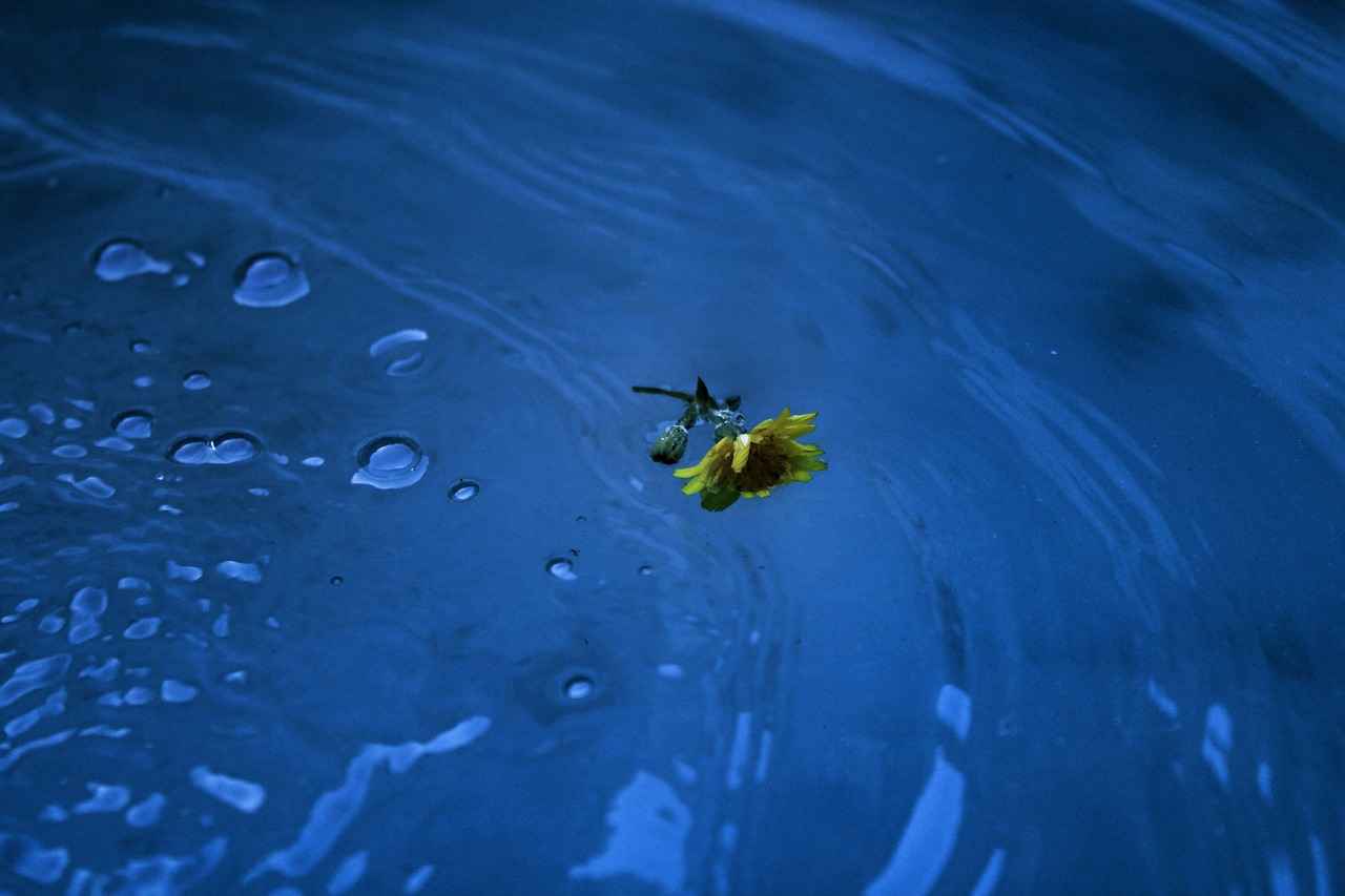 Risks and Considerations of Water Fasting