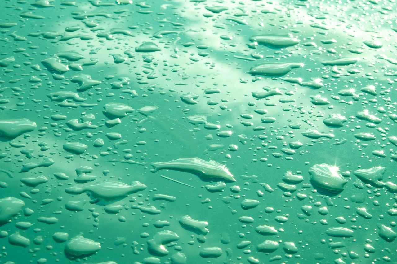 Results of the Water Fast Experiment