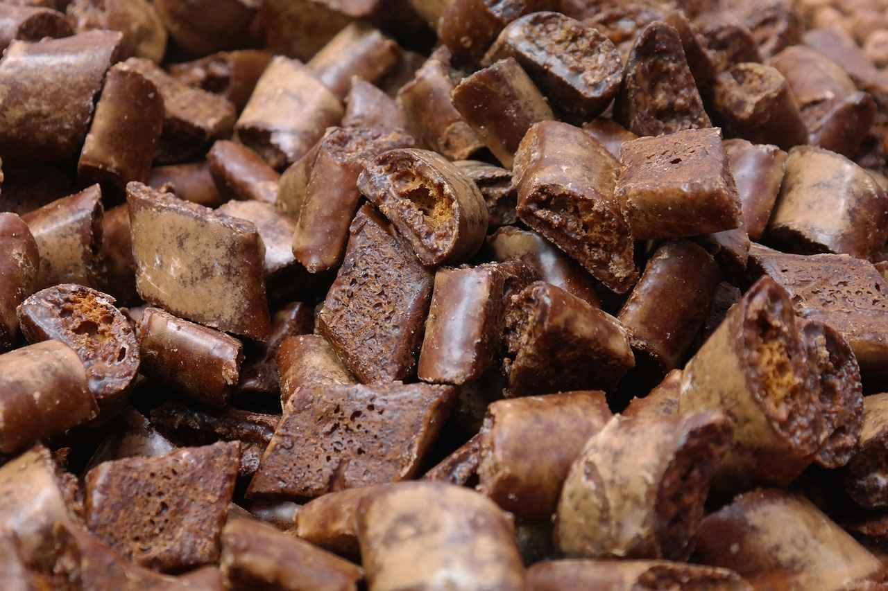 How Fast Does Water Digest? The Truth Revealed 2 The Role of the Stomach in Digestion