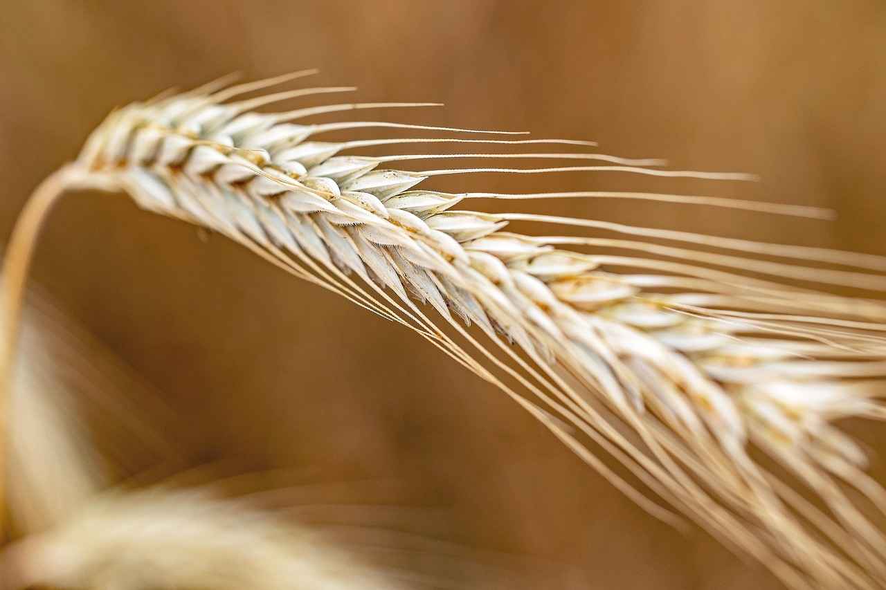 How to Get Water Out of Your Ear Fast: Effective Methods 1 Understanding the Causes of Water Trapped in the Ear