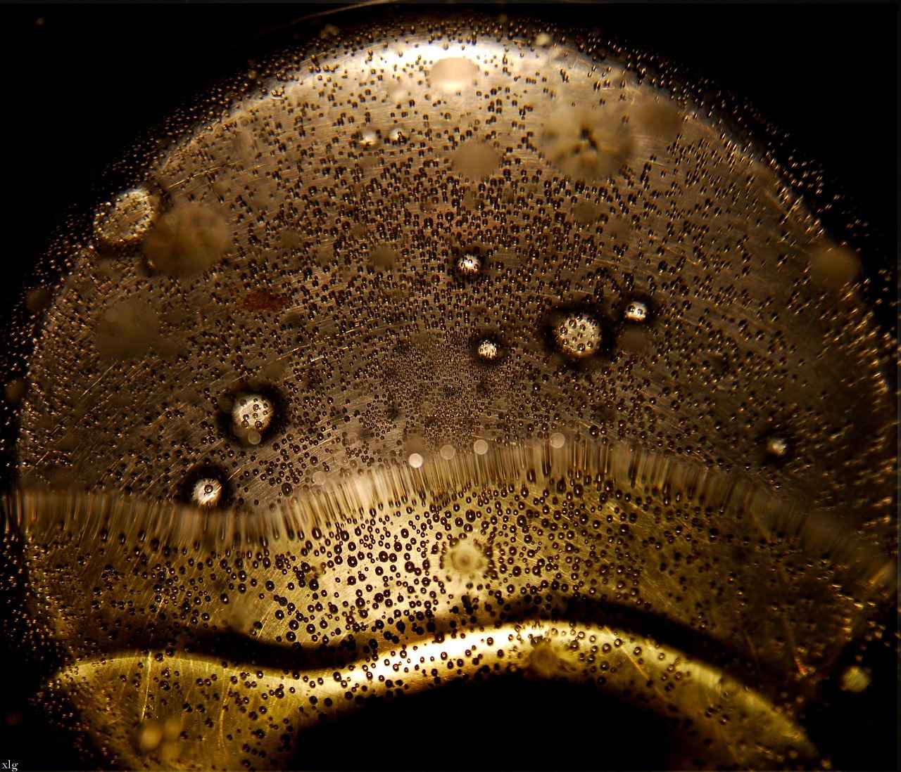 Understanding the Science of Boiling Water