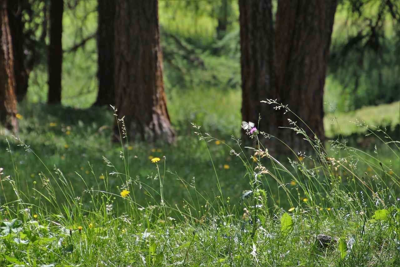 Refeeding Protocol After a Water Fast: What to Eat First 3 What to Eat First After a Water Fast