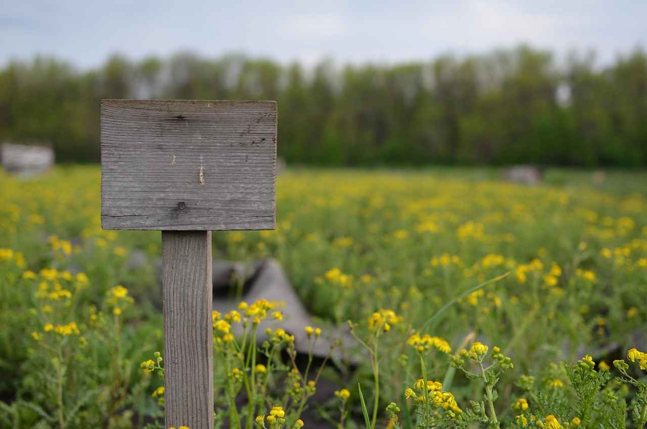 Mental and Emotional Signs to Watch For