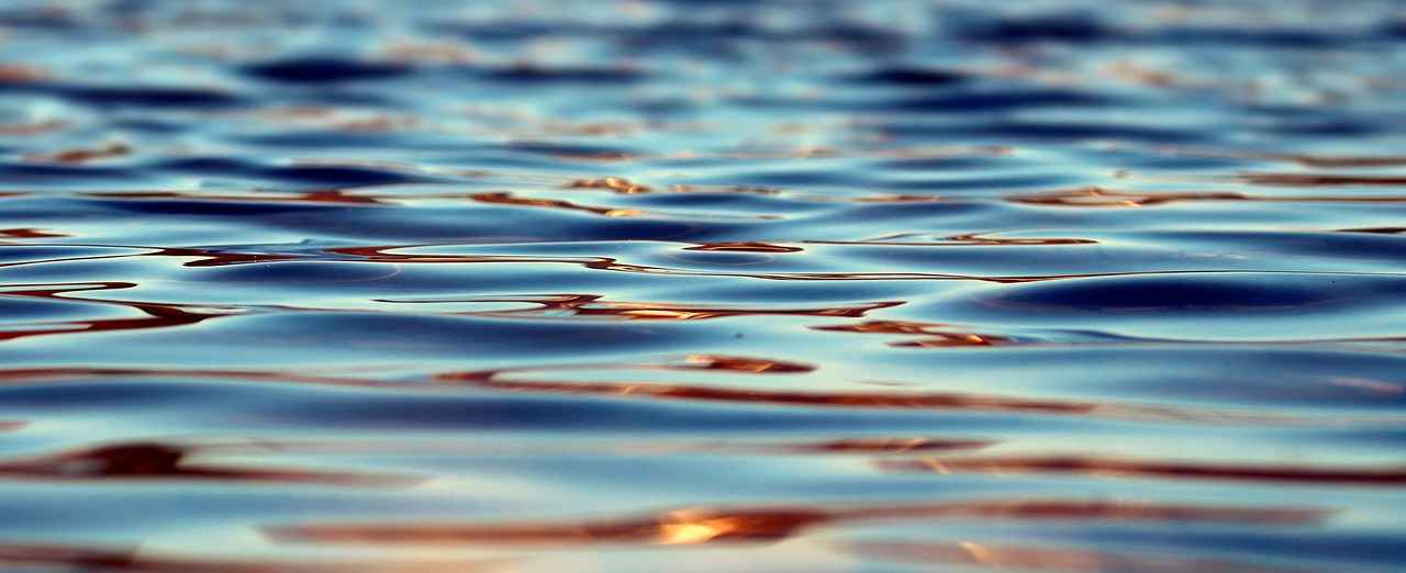 The Longest Water Fast Ever Recorded: What Happened? 2 The Record-Setting Fast