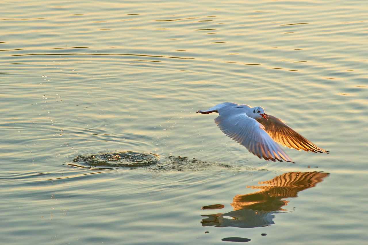 What to Expect During a 30-Day Water Fast