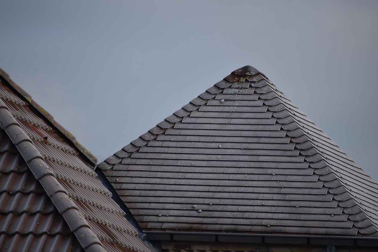 Warm Water vs. Cold Water: Which Freezes Faster? 3 Environmental Conditions Matter