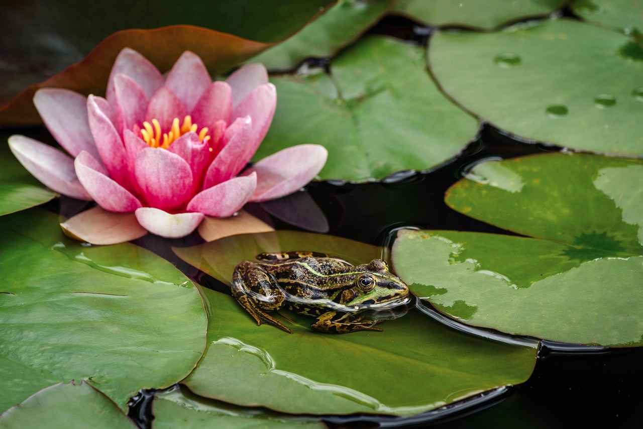 Water Fasting for 3 Days: What Happens to Your Body? 4 Potential Risks of Water Fasting