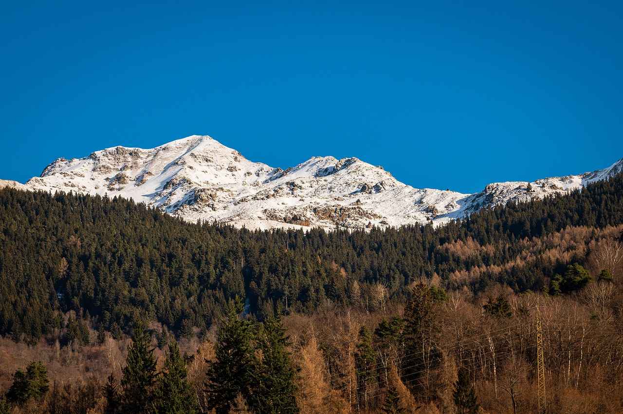 Controversies and Debates Surrounding the Mpemba Effect