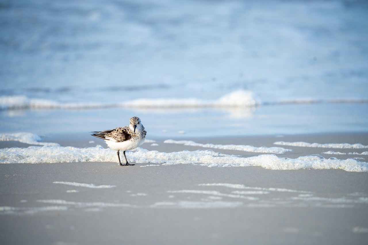 Thermodynamic Principles at Play