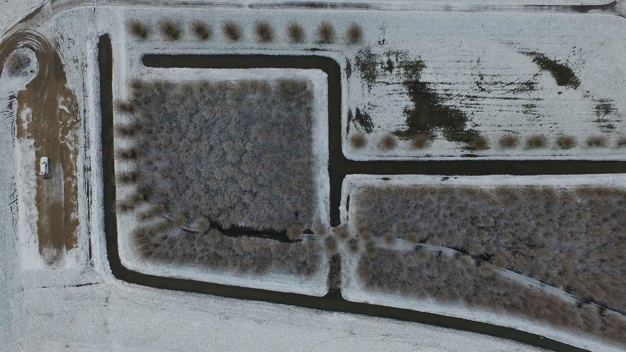 Food Technology and Preservation