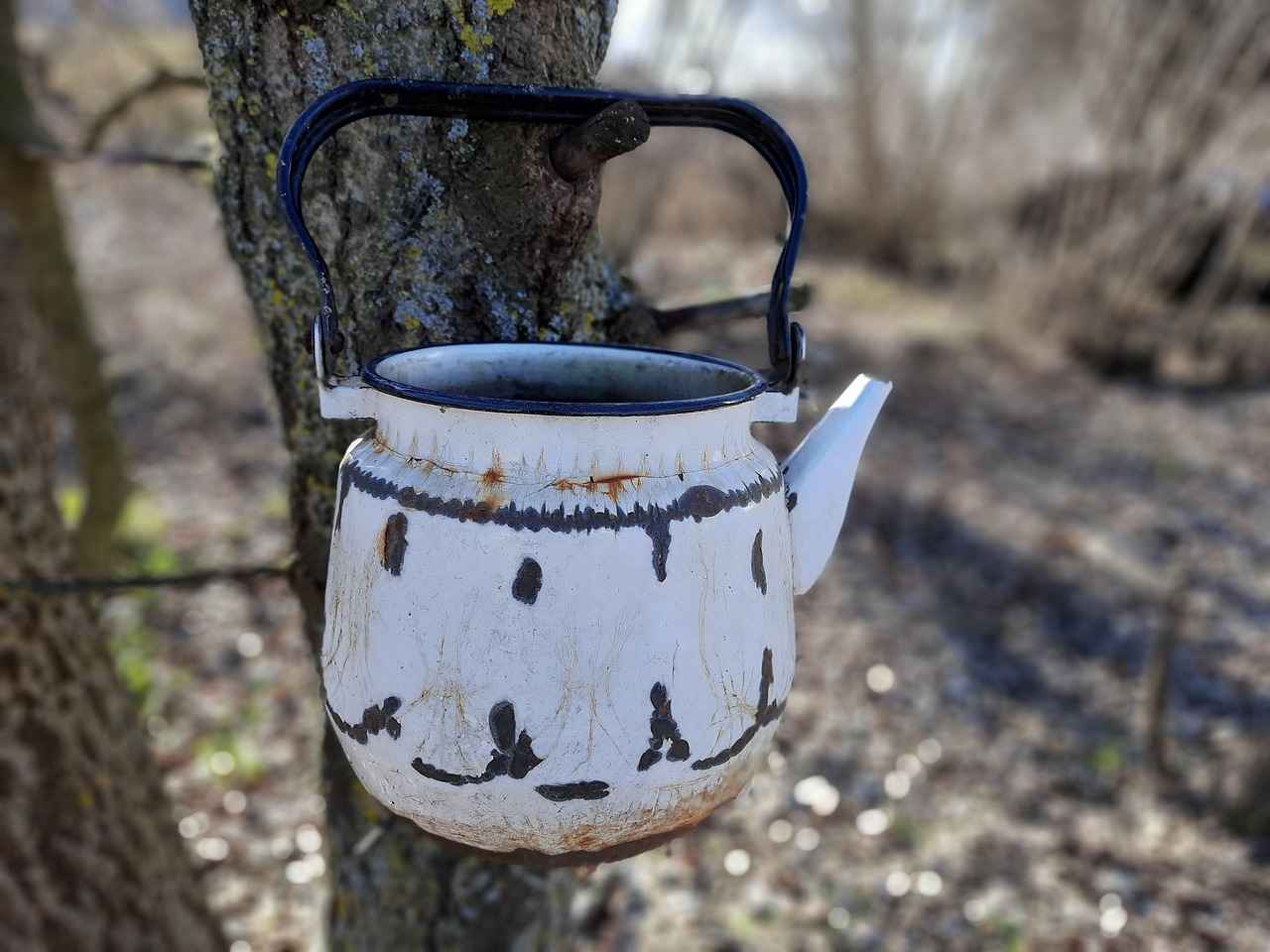 Will Cold Water Boil Faster Than Hot Water? The Truth Revealed 5 Conclusion: What Should You Use?